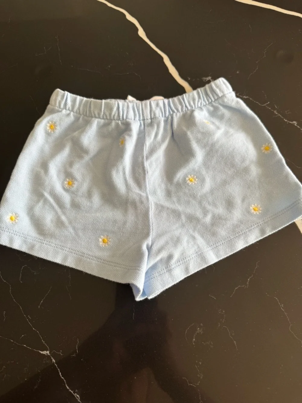 Light Blue Daisy Embroidered‎ Knit Shorts